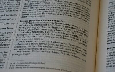 Gros plan d'un livre ouvert avec du texte