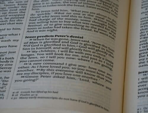 Gros plan d'un livre ouvert avec du texte