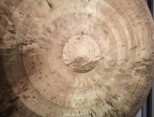 Collier Médaillon Tesla "Fleur de Vie"